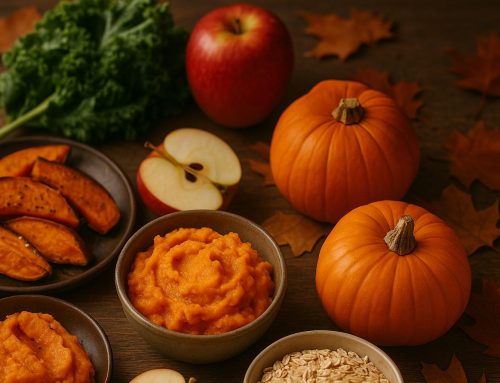 Top 10 Fall Foods That Boost Immunity for Seniors
